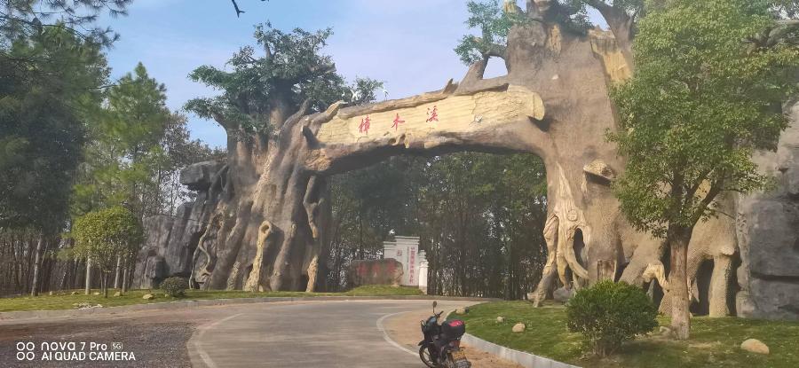 【北京头条】分享胡清普《使命》外一首请欣赏（图9）