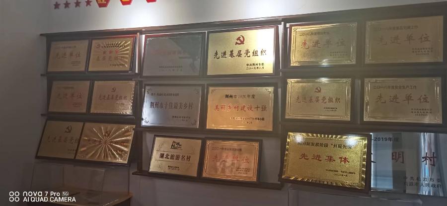 【北京头条】分享胡清普《使命》外一首请欣赏（图11）