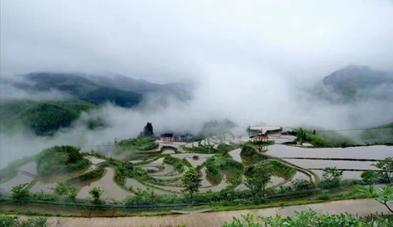 【雅诗总会】《江南风诗刊》三社看图写诗(第四十一期)（图3）