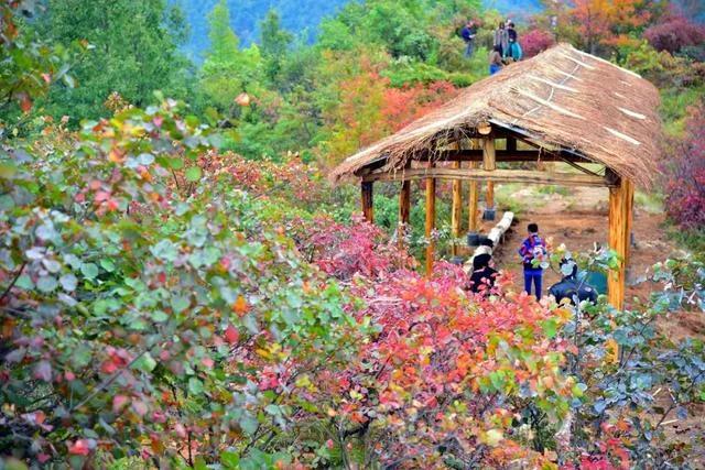 《江南诗絮文化中心》0568期~周刊(图58)