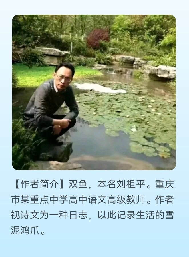 【上海头条】三人行||双鱼 菩提树下的仰望 山贼（图3）