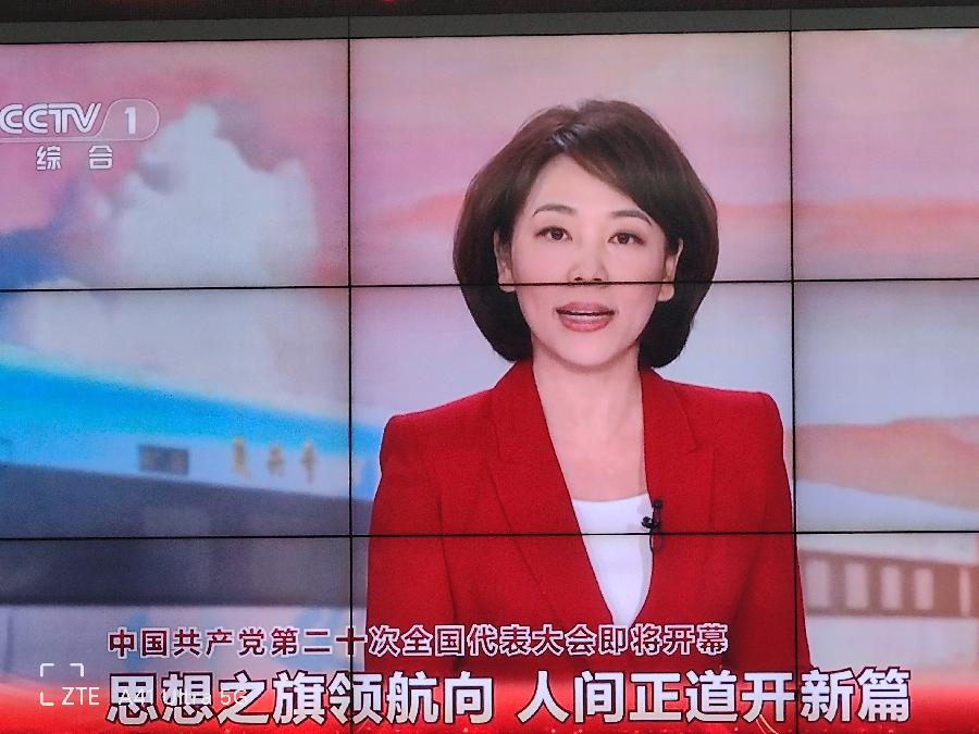 学习二十大感言