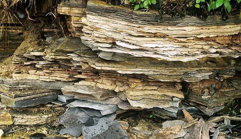 《岩石的遗嘱》作者:张霄【主播:金牌主播:燕子】【桃源国际诗歌集团】【桃源♬ 馨声】（图5）