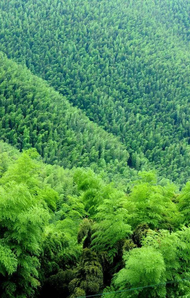 《桂乡吟(组诗)》作者:李昌炎(图2)