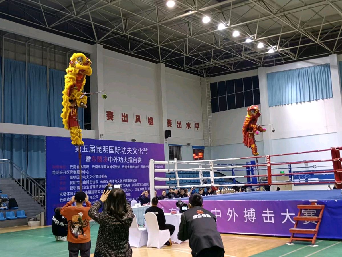 昆明国际功夫文化节开幕式暨“东盟决”中外功夫擂台赛举行(图2)