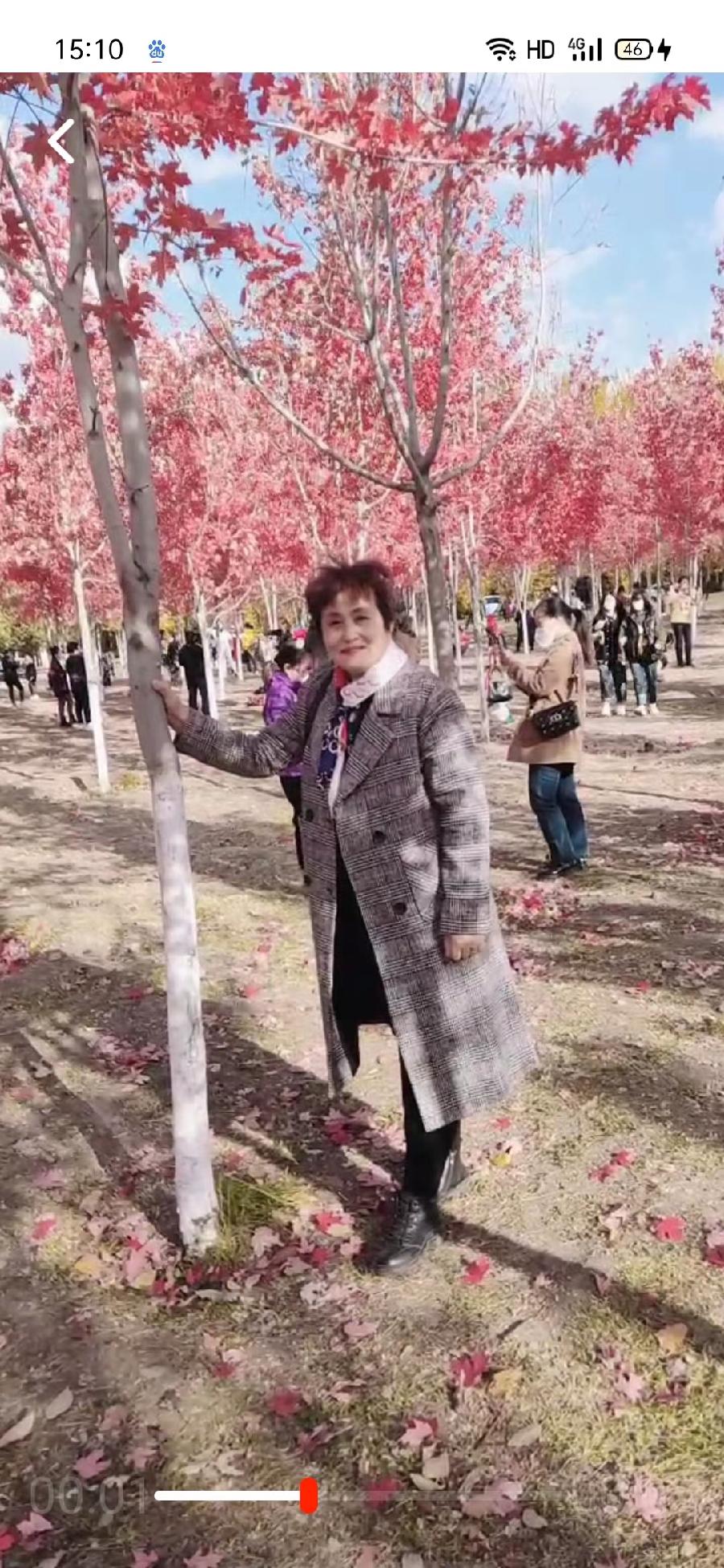 中华诗艺社黑龙江分社推介/徐淑芳:美丽的红枫林（图3）
