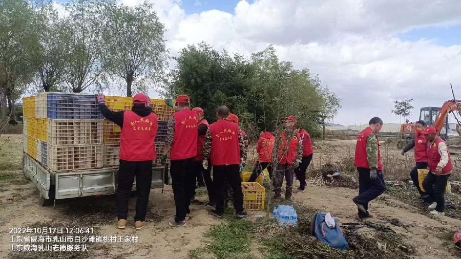 贴心服务暖人心 助力秋收解民忧（图8）