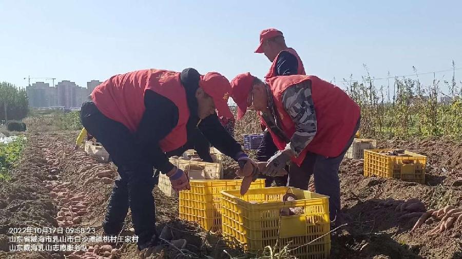 贴心服务暖人心 助力秋收解民忧（图7）