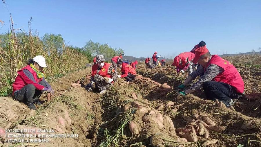 贴心服务暖人心 助力秋收解民忧（图5）