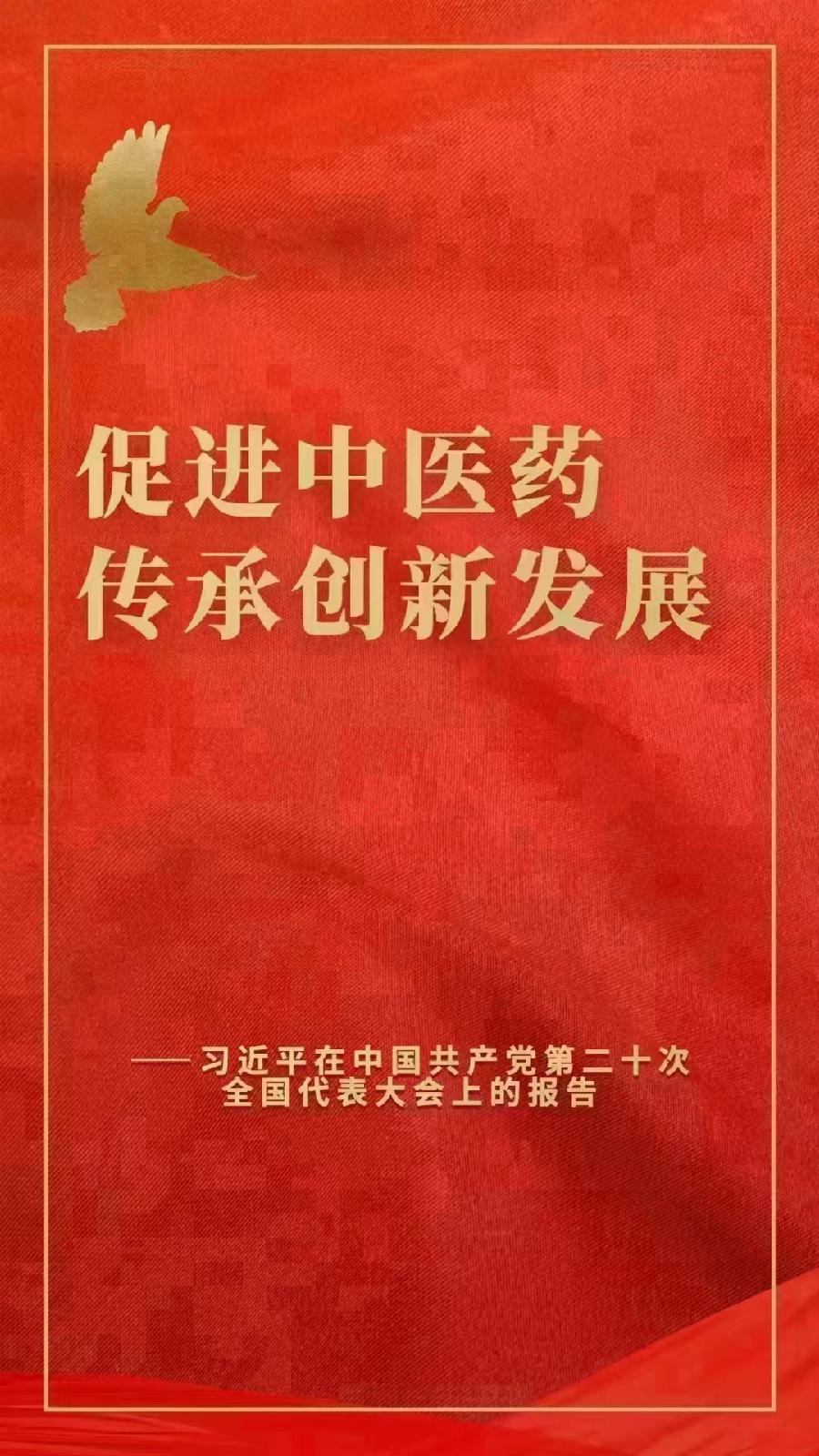 发扬中医药，推进一带一路，让中医传承，享誉全球。（图2）