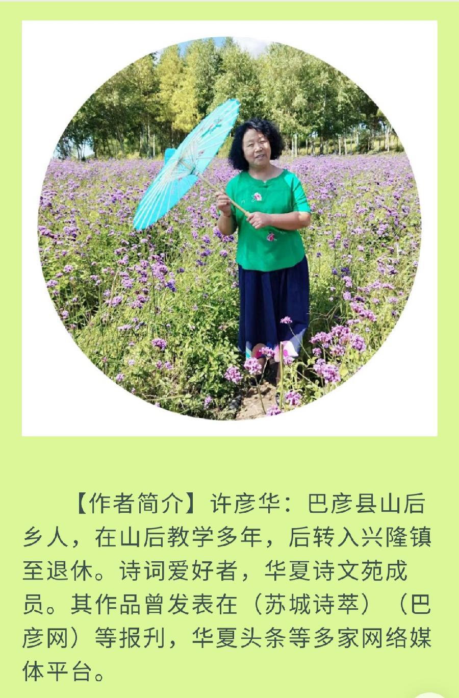中华诗艺社黑龙江分社推介/许彦华:雨巷中遇见你（图4）