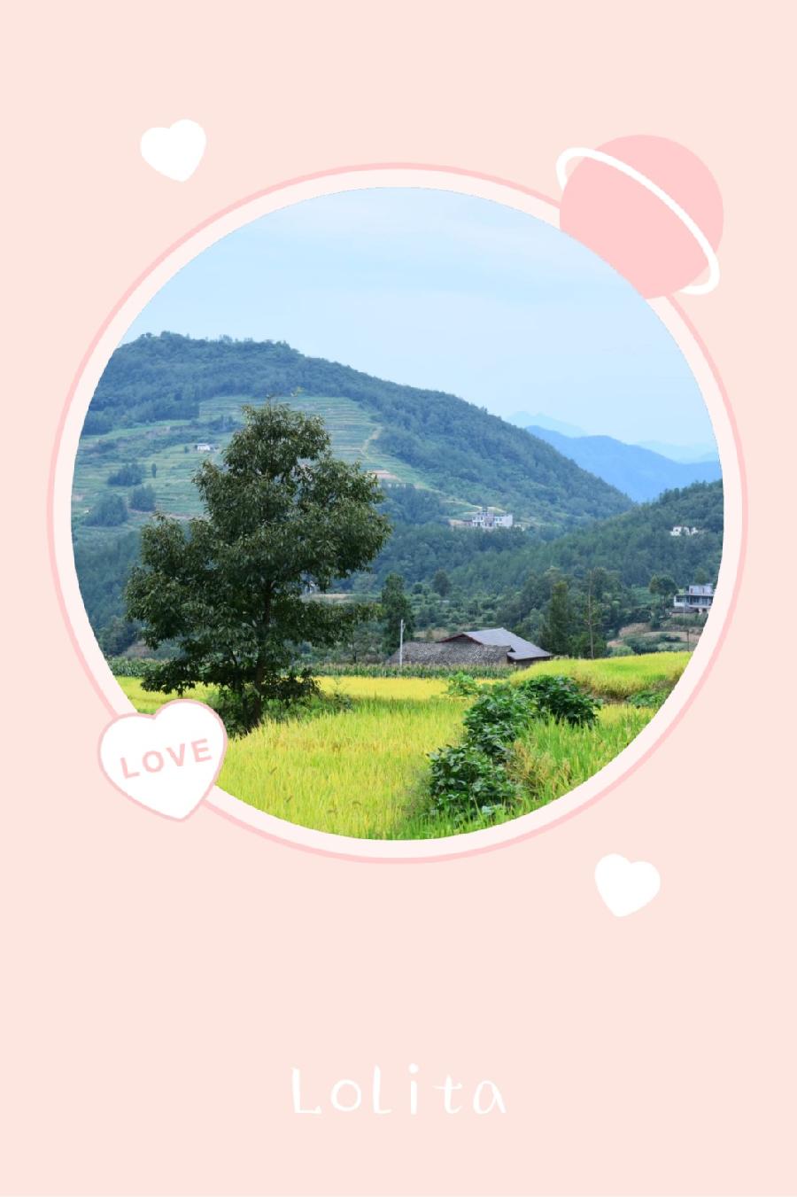 秋念(图2)