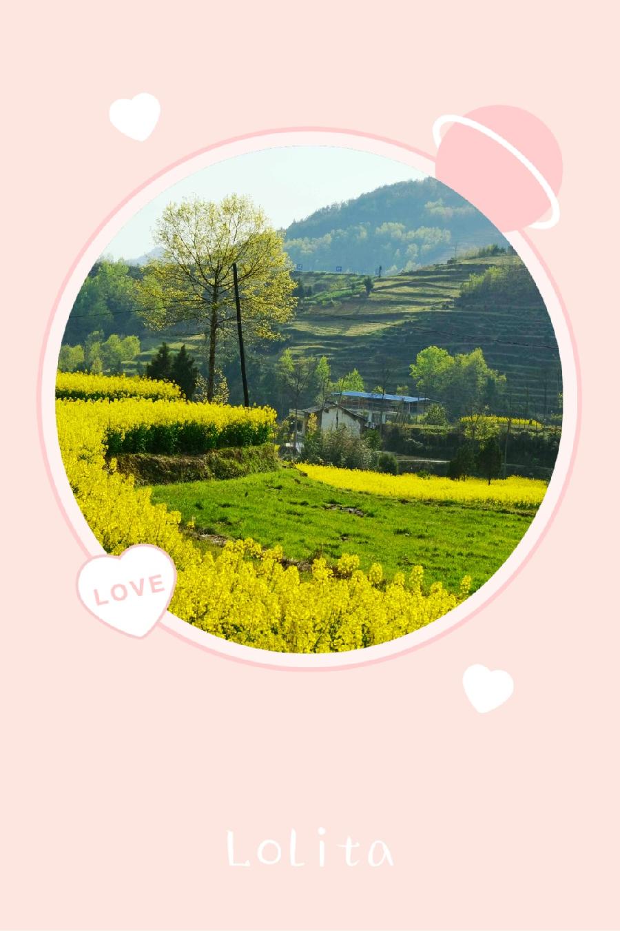 秋念