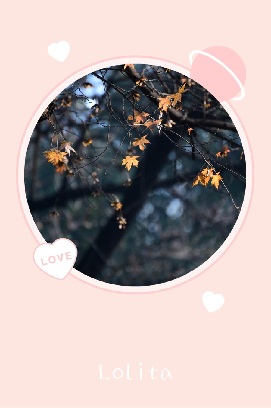 秋念(图4)