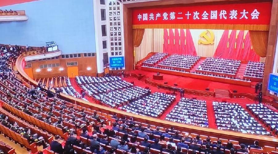 巴黎文学苏沪浙诗社010期微刊《红旗指处响惊雷》（图31）