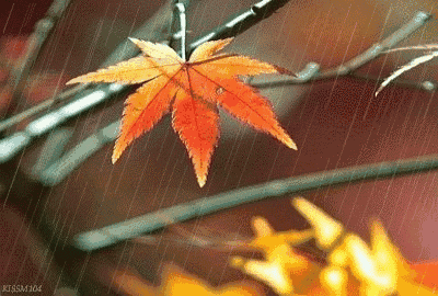 【潇湘文学社】潇湘问梅诗社《总467期》(秋雨)(图11)