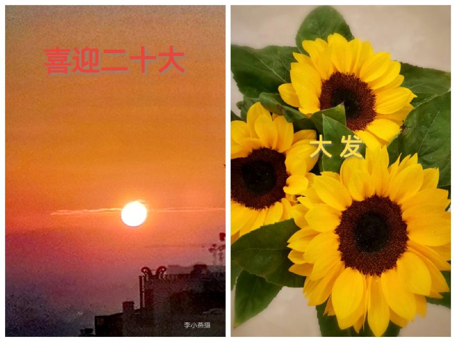 《九江文学社：有声文学平台》《名家专刊》《李小燕老师佳作欣赏（组诗五首）》 主播 /虹霞（图3）