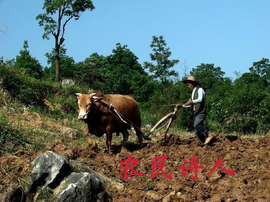 【经典推荐】“农民诗人”杜天明//七律•《精卫》外一首（图4）
