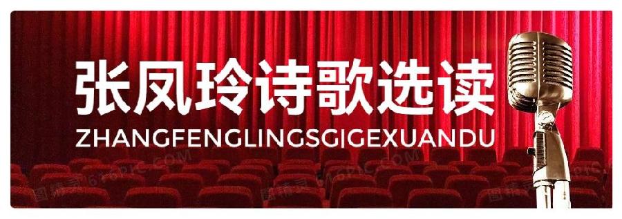 张凤玲诗歌选读∥有一滴眼泪，让秋风吹干（组诗）摄影朗诵 老菩提（图2）