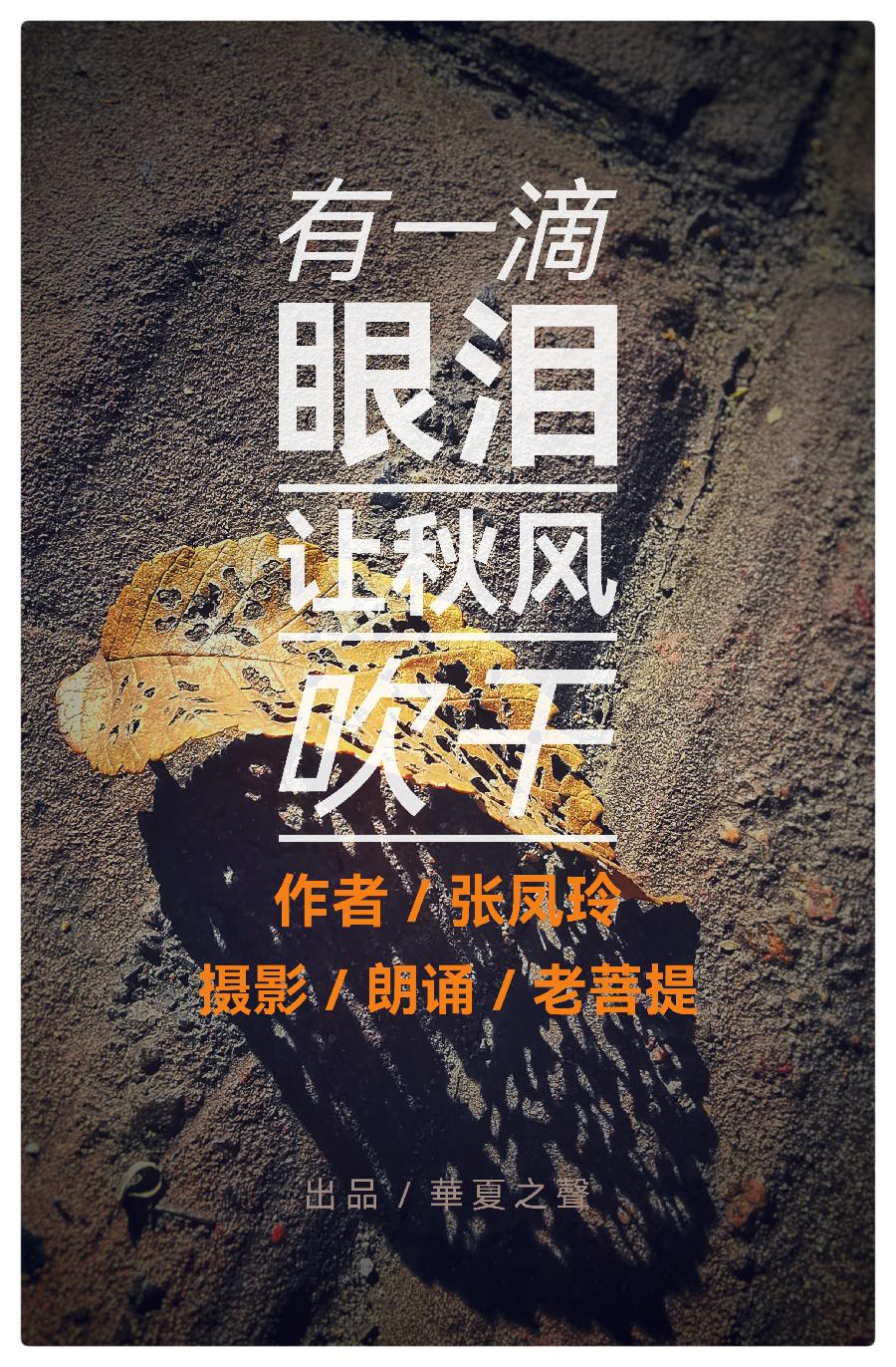 张凤玲诗歌选读∥有一滴眼泪，让秋风吹干（组诗）摄影朗诵 老菩提（图3）