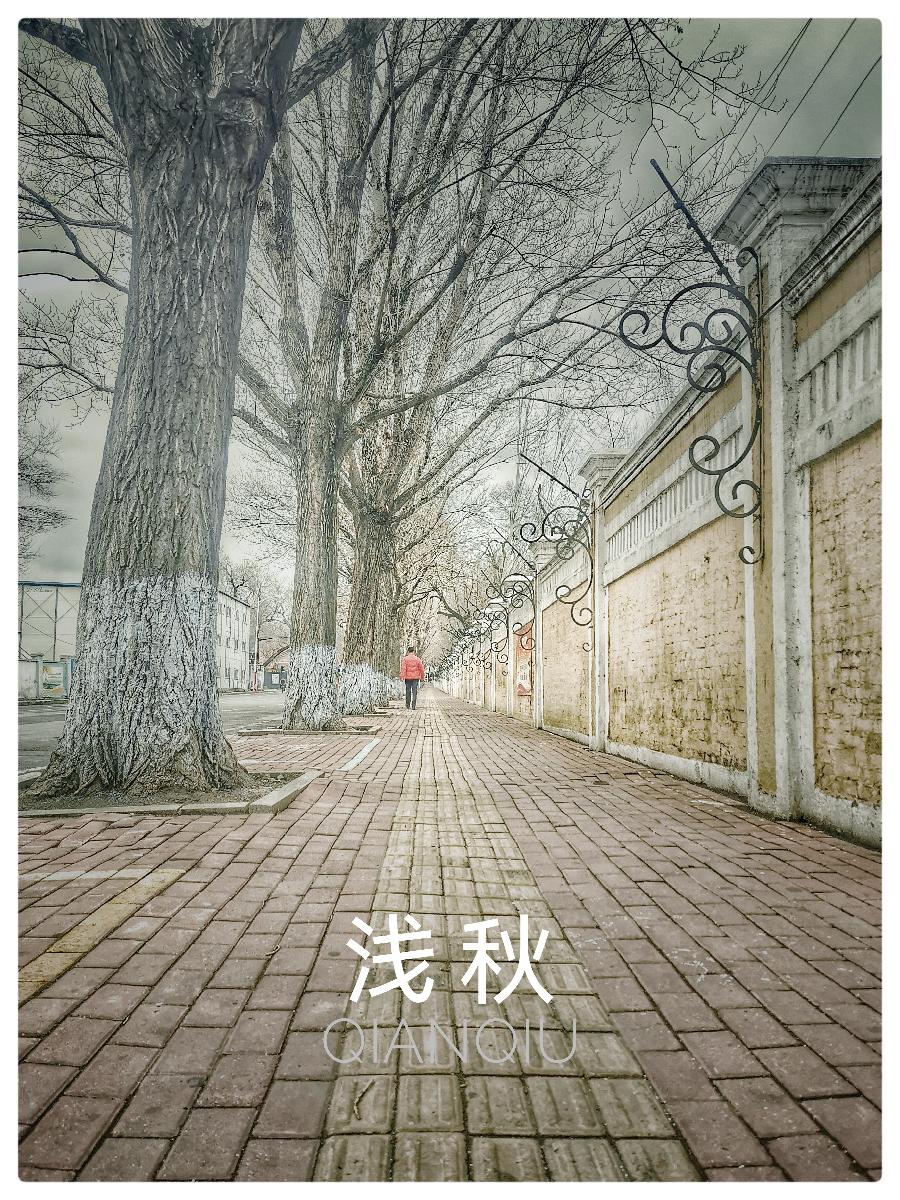 张凤玲诗歌选读∥有一滴眼泪，让秋风吹干（组诗）摄影朗诵 老菩提（图4）