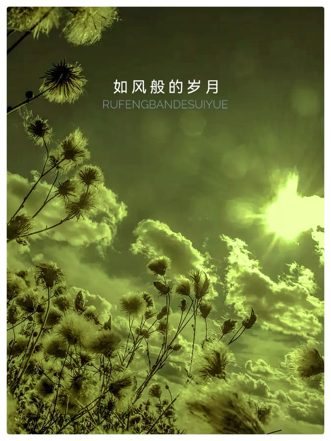 张凤玲诗歌选读∥有一滴眼泪，让秋风吹干（组诗）摄影朗诵 老菩提（图6）