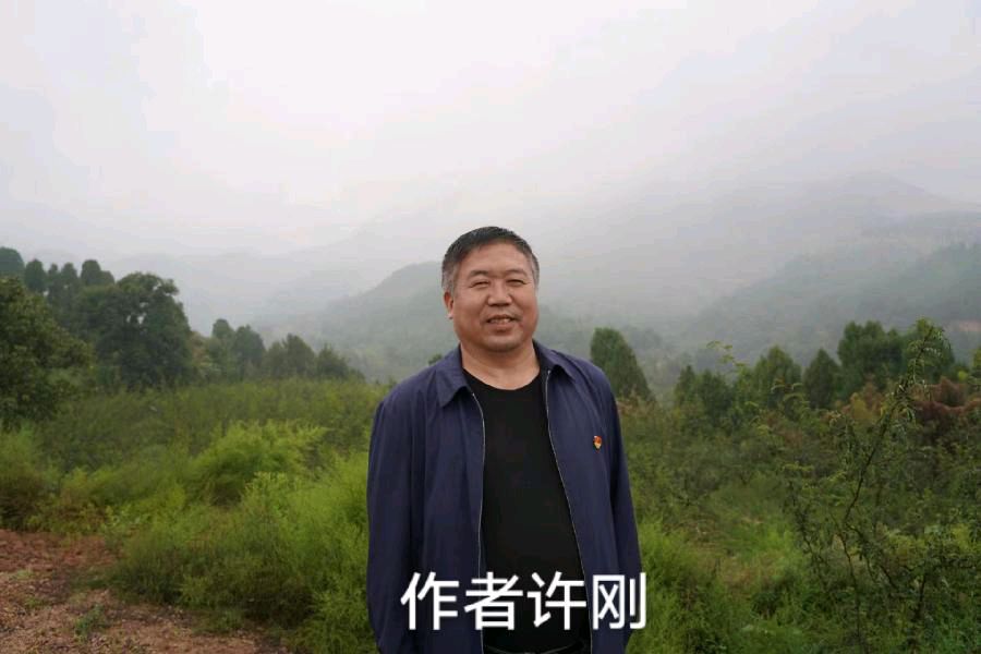 中国特色社会主义进入新时代(图5)
