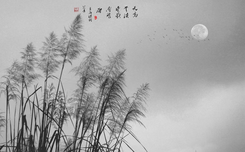 《烟雲深处-诗选》北美翰苑散文诗社(图5)
