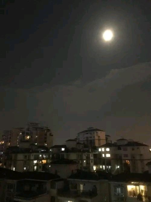 《秋夜遐思》作者:张超我【主播:金牌主播:刘树清】【桃源国际诗歌集团】[桃源♬ 馨声]（图7）