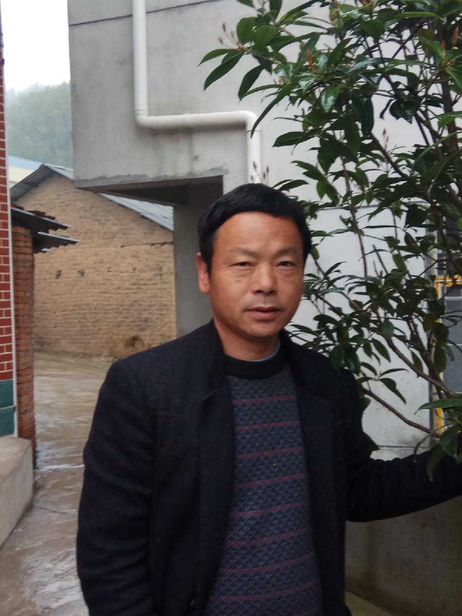 《中国爱情诗刊》【中国爱情诗人档案】（第4877期)湖北诗人：金达达人的诗（图2）