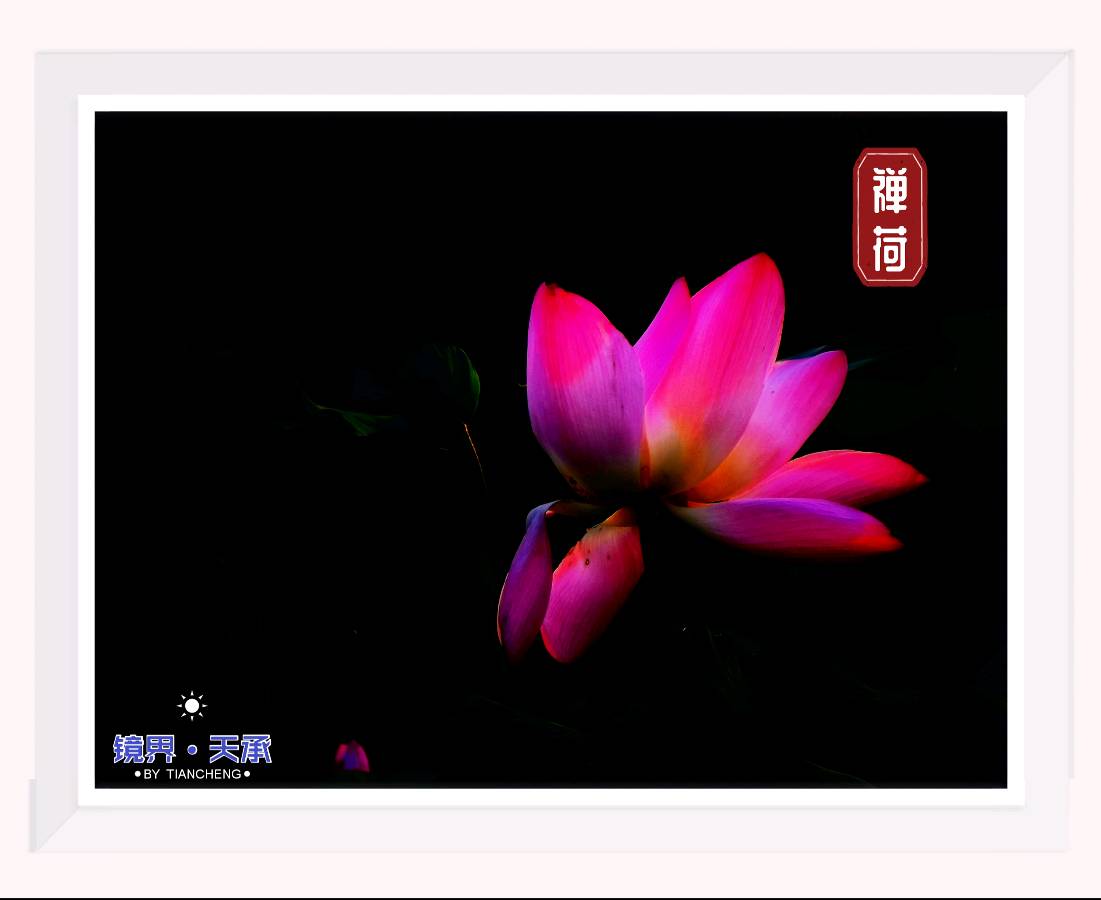 师法天地人，麒麟大乾坤｜王宇鹏〔编号:77〕（散文类）参赛作品展示·“麒麟杯”《爱我中华·文化强国》主题征文大赛（图8）