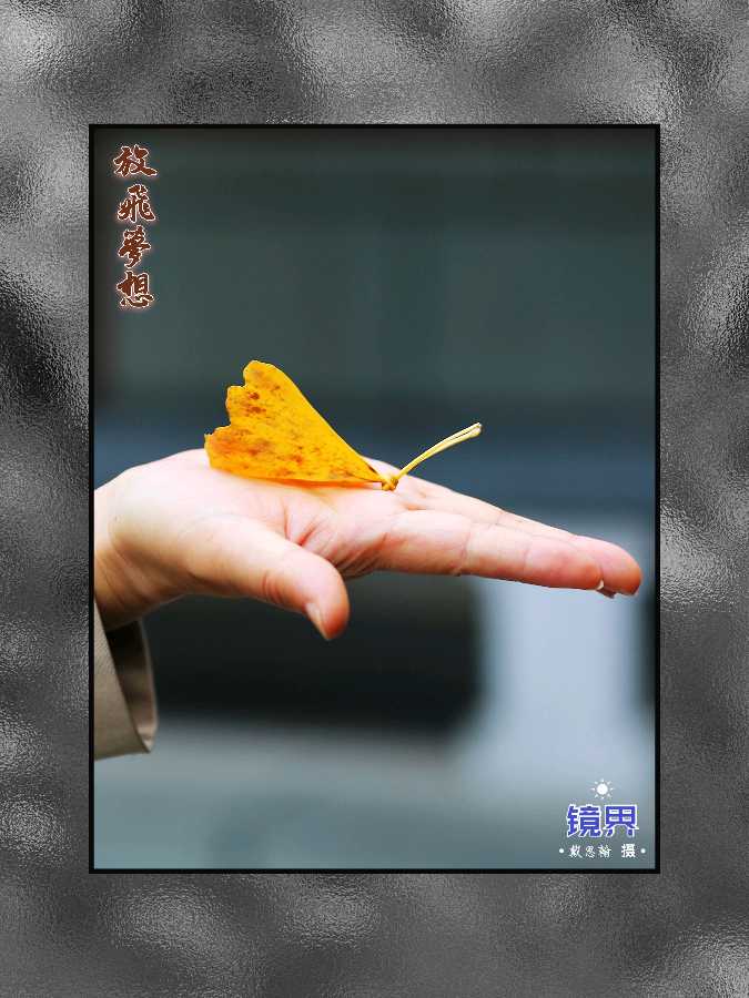 师法天地人，麒麟大乾坤｜王宇鹏〔编号:77〕（散文类）参赛作品展示·“麒麟杯”《爱我中华·文化强国》主题征文大赛（图15）