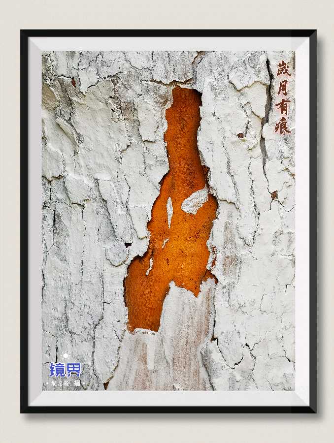师法天地人，麒麟大乾坤｜王宇鹏〔编号:77〕（散文类）参赛作品展示·“麒麟杯”《爱我中华·文化强国》主题征文大赛（图16）