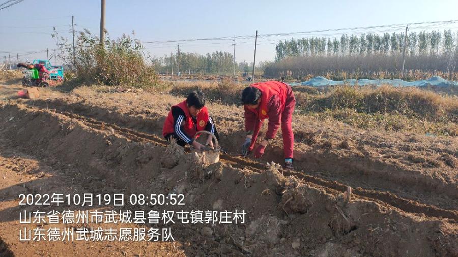 活跃在文明实践站的志愿红