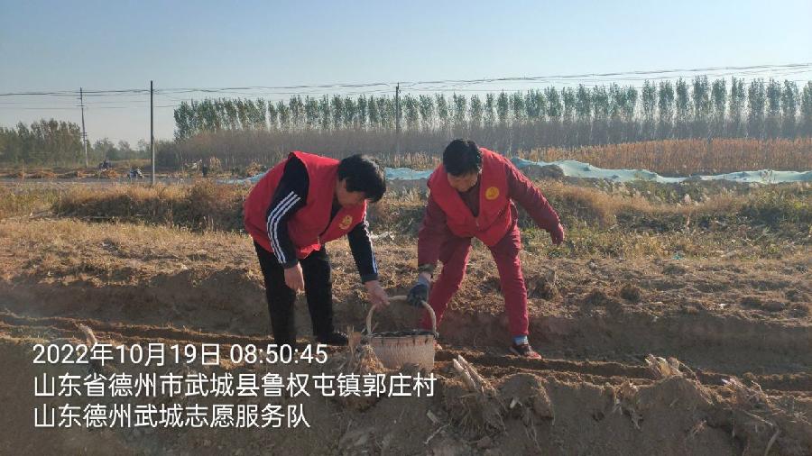 活跃在文明实践站的志愿红（图2）
