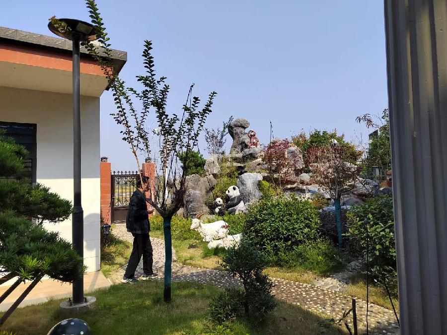 中华诗艺社黑龙江分社推介/书法家余斯文:秋情秋景汇相思（图12）