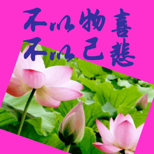【新山东文学社】《笑看悲欢》作者/李延庄子 主播/红叶（图4）