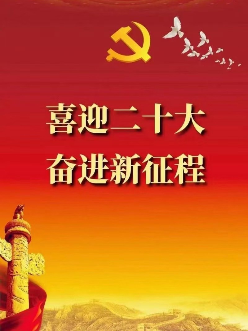 《喜庆二十大专刊》【九江文学社:北京头】《喜庆二十大,奋进新征程》文/杨成贵(图5)