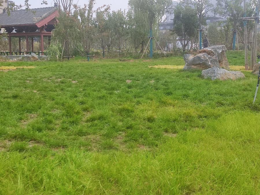 司马光文化园 原作/梁立锋（图25）