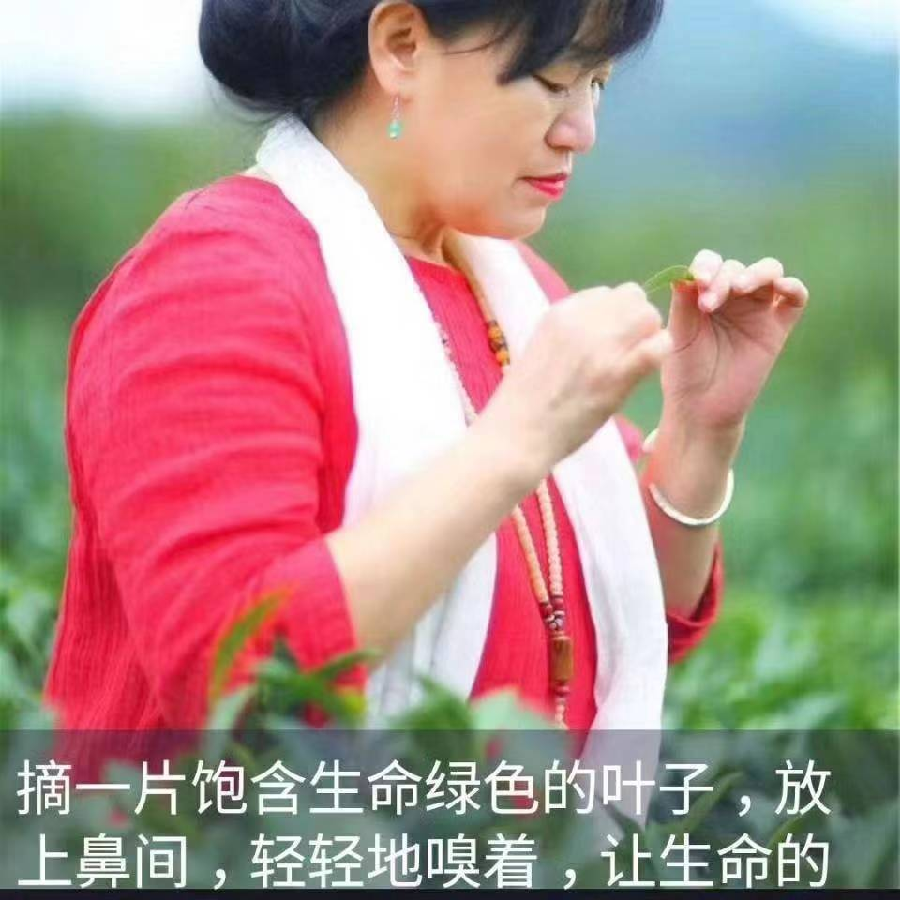 中华诗艺社黑龙江分社推介/邬晓梅(爱茶人):一叶知秋（图19）