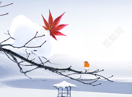 阿薇作品《生命的节律》外五章 主播:梁姗等六人合诵 编辑:香乡【北疆头条】(第326期)(图6)