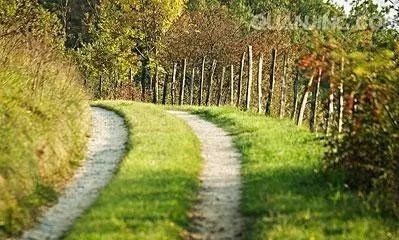 《诚与戒》联机全球发布袁华成精品诗歌欣赏（图5）