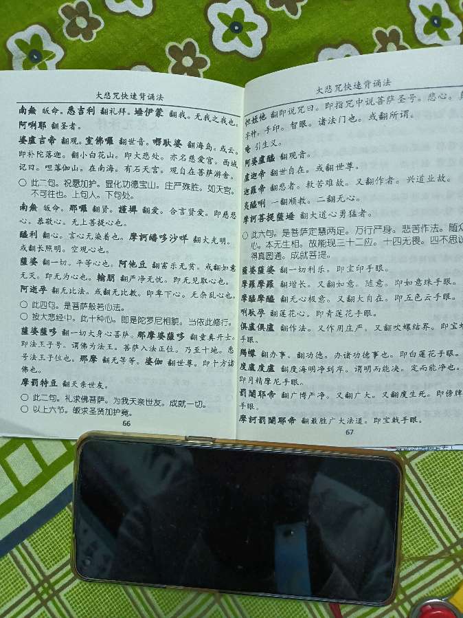 大悲咒背诵法 雪松（图3）