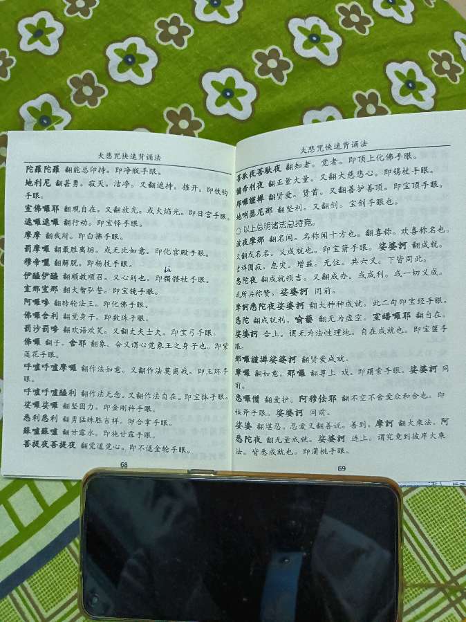 大悲咒背诵法 雪松（图4）