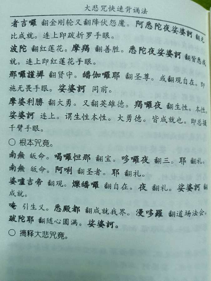 大悲咒背诵法 雪松（图5）
