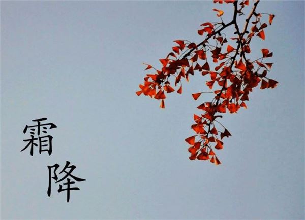 中华诗艺社黑龙江分社推介/张温(白丁)原创诗十二首（图10）