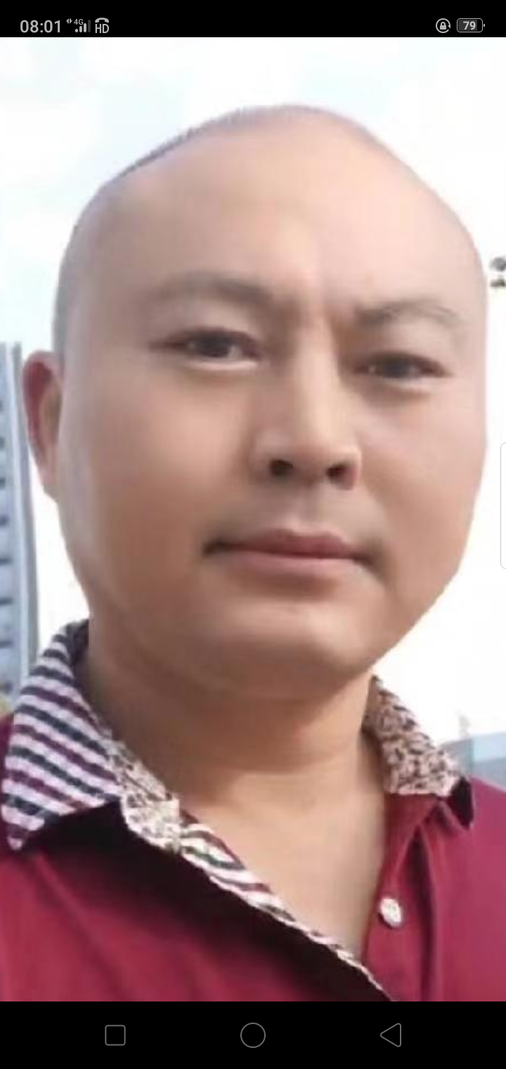 追风恋叶