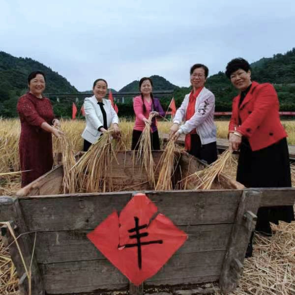 【花朝清韵】第四十七期《秋光涟滟十月天》(图7)