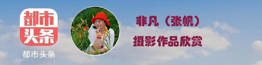 非凡视频:秋风醉(外三段)（图3）