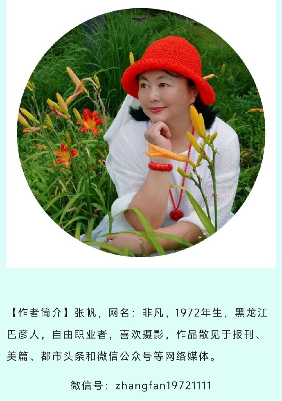 非凡视频:秋风醉(外三段)（图4）